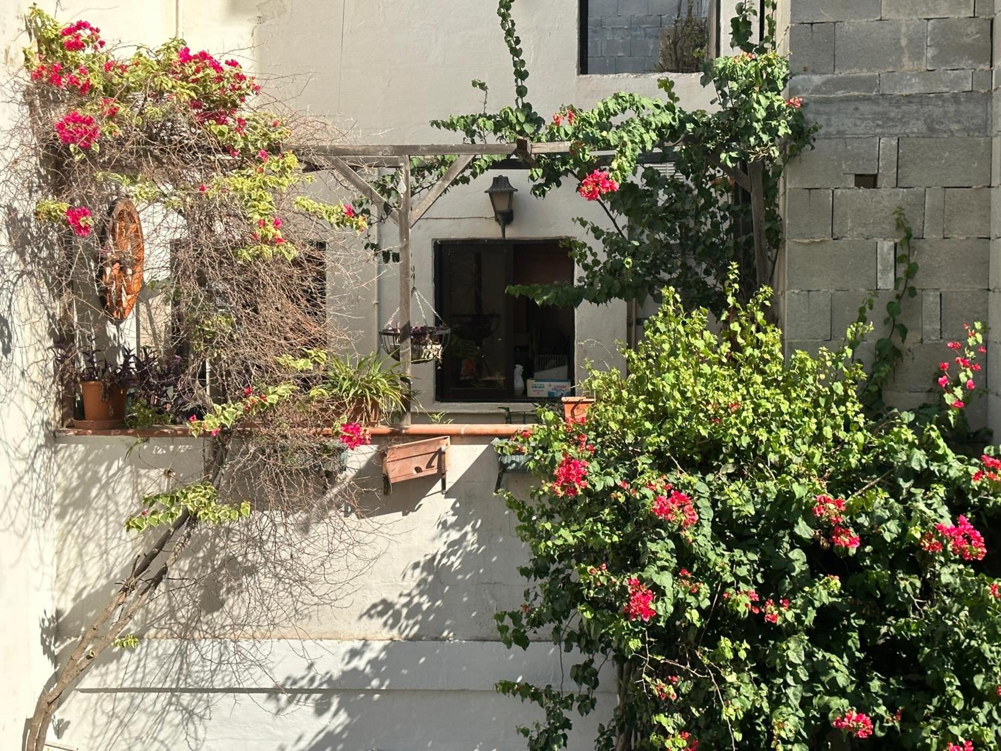 Domisol Duplex Near Sea Appartement *